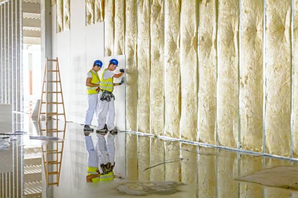 Best Insulation Maintenance and Repair in Riverview, MI